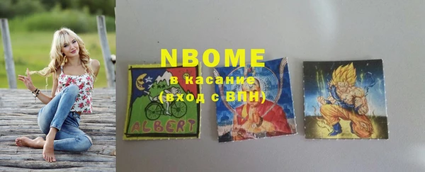стаф Арсеньев
