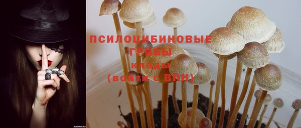 стаф Арсеньев