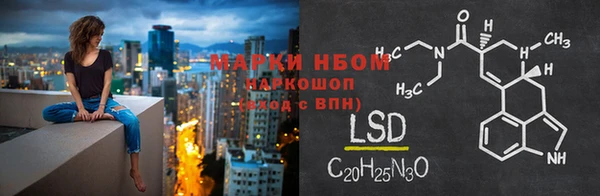 стаф Арсеньев