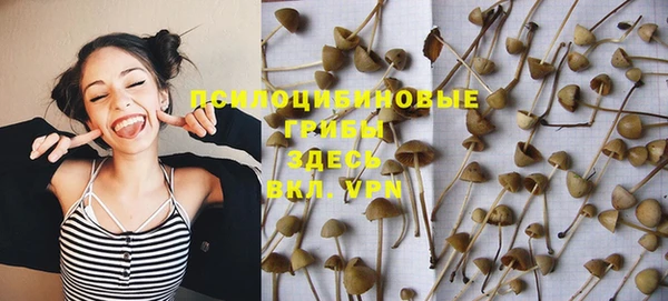 стаф Арсеньев