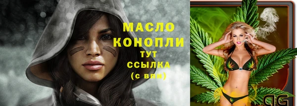 стаф Арсеньев