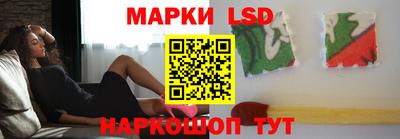 стаф Гай