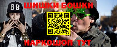 стаф Гай