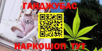 стаф Гай
