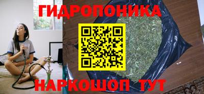 СК Гагарин
