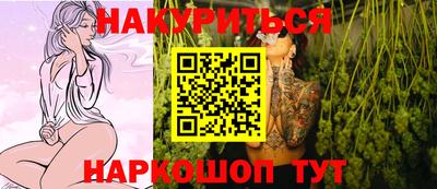 стаф Гай