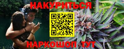 стаф Гай
