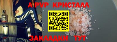 стаф Гай
