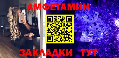 стаф Гай
