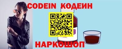 стаф Гай