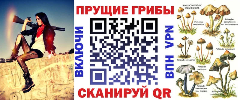 мега зеркало  Зеленокумск  Галлюциногенные грибы ЛСД  где можно купить наркотик 