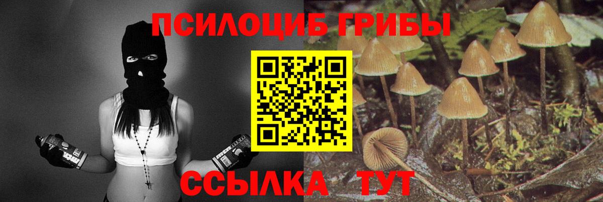 Псилоцибиновые грибы мицелий  цена   Галлюциногенные грибы мицелий  Зеленокумск 