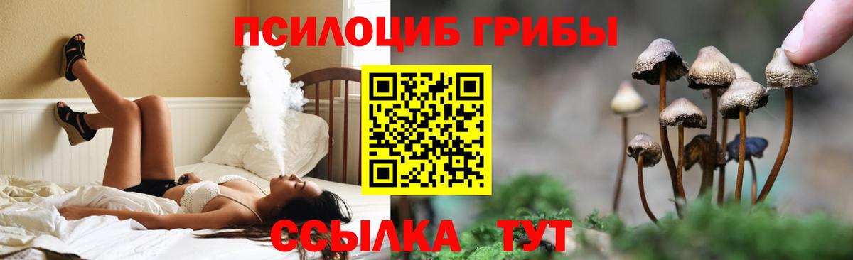 Галлюциногенные грибы прущие грибы Зеленокумск
